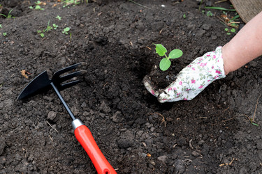 Similar image 22152469