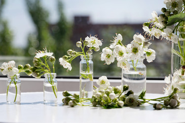 Similar image 22152478