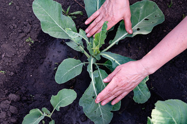 Similar image 22152479