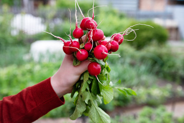 Similar image 22152484