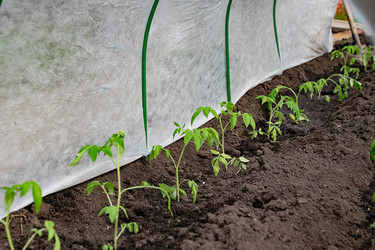 Similar image 22152490