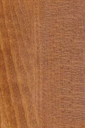 Similar image 22148267