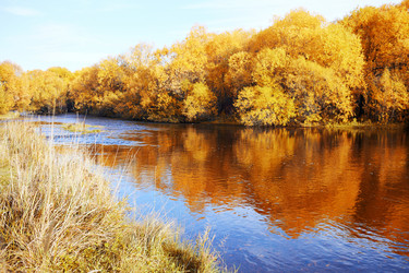 Similar image 22153476