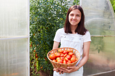 Similar image 22153477