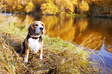 Similar image 22153478