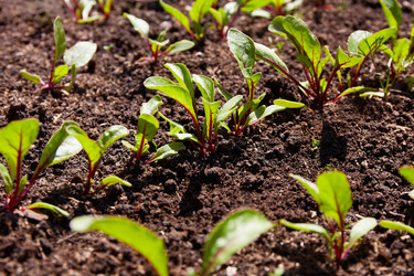 Similar image 22153479