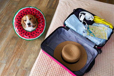 Similar image 22153487