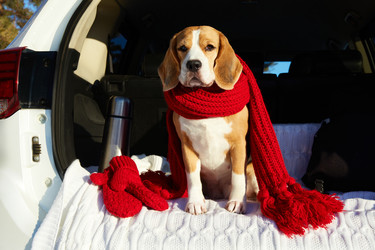 Similar image 22153494