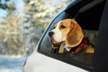 Similar image 22153495