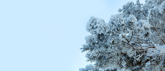 Similar image 22153496