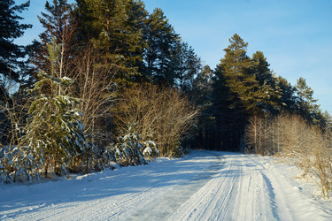 Similar image 22153497