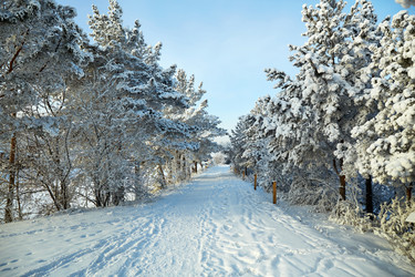 Similar image 22153498