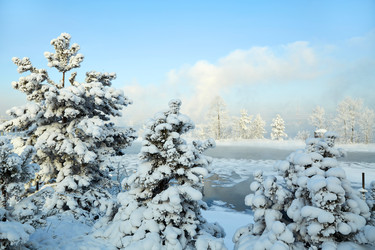 Similar image 22153500