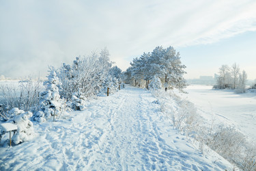 Similar image 22153501