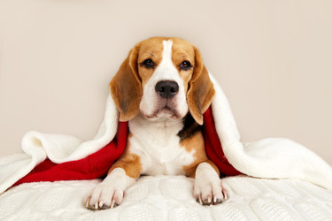 Similar image 22153502