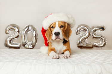 Similar image 22153503