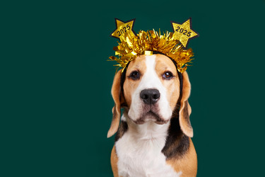 Similar image 22153506