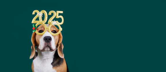 Similar image 22153509