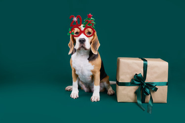 Similar image 22153510