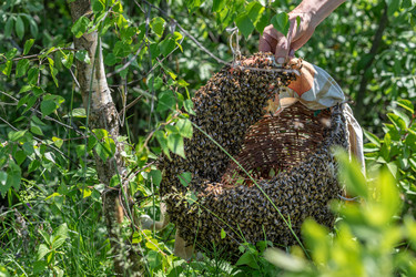 Similar image 22148023