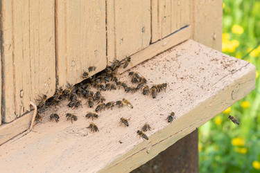 Similar image 22148027