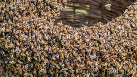 Similar image 22148028