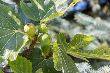 Similar image 22148029