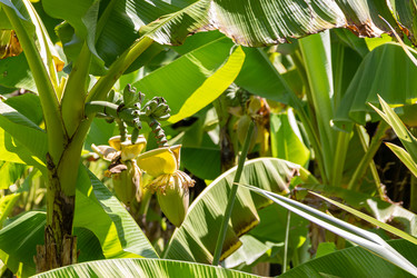 Similar image 22148030