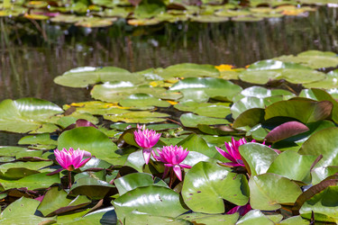 Similar image 22148031