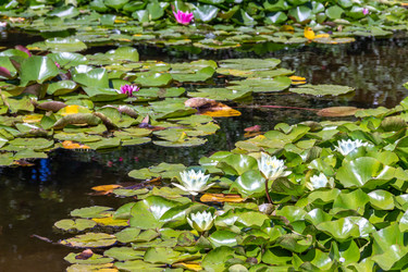 Similar image 22148033