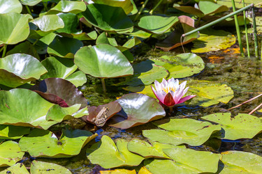 Similar image 22148034