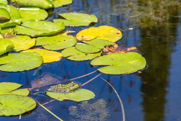 Similar image 22148035