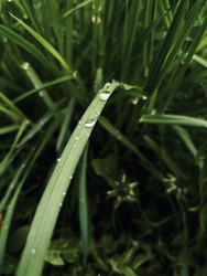 Similar image 22148660