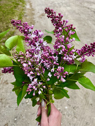 Similar image 22148661