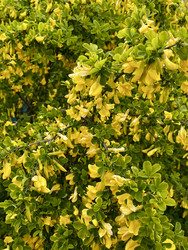 Similar image 22148662