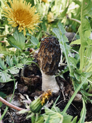 Similar image 22148664