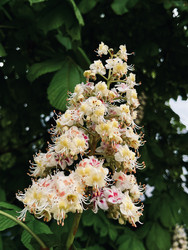 Similar image 22148667