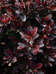 Similar image 22148668