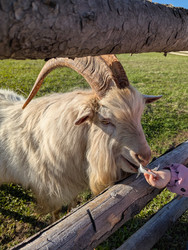 Similar image 22152882