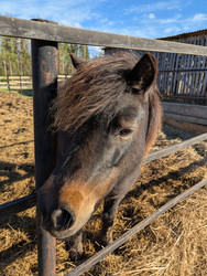 Similar image 22152883