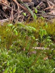 Similar image 22148042