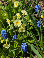 Similar image 22148043