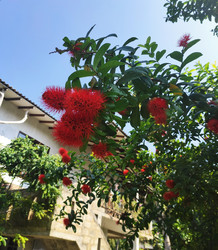 Similar image 22152884