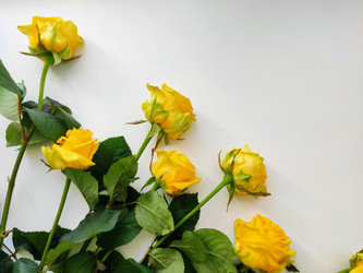 Similar image 22148044