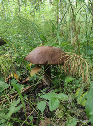 Similar image 22148046