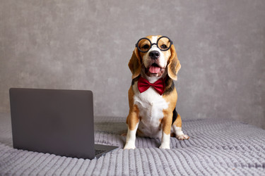 Similar image 22153522