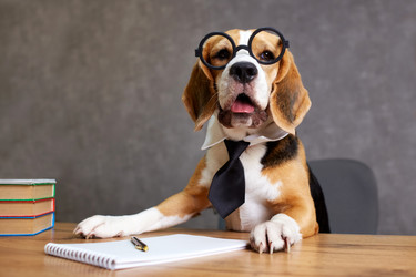 Similar image 22153524