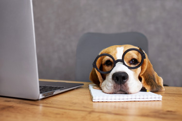 Similar image 22153527