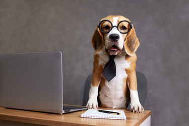 Similar image 22153528