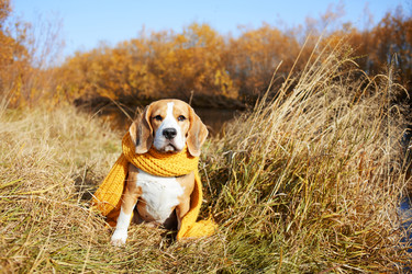 Similar image 22153543